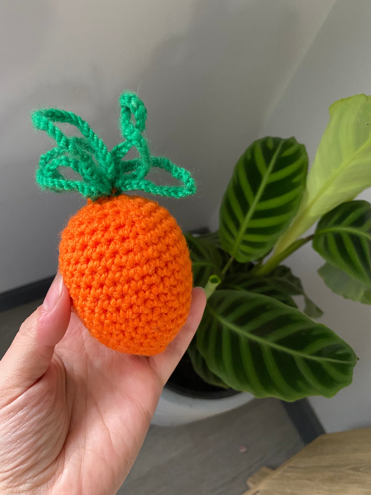 Knitted Hunting Carrots